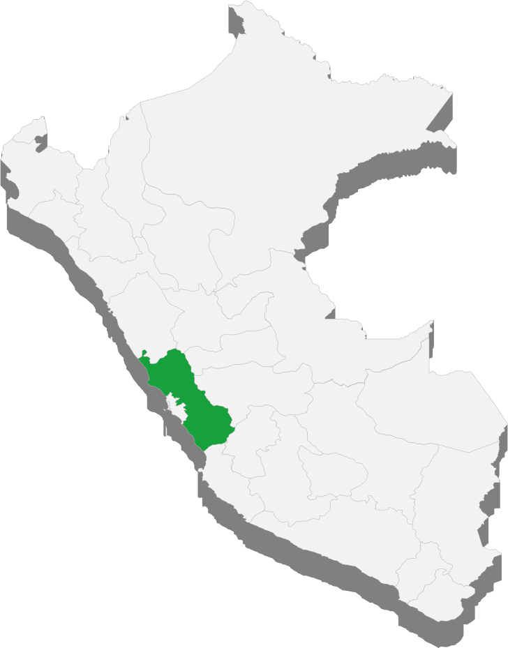 Distribuidores cerca de ti_